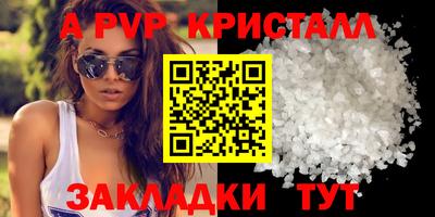 спиды Новодвинск
