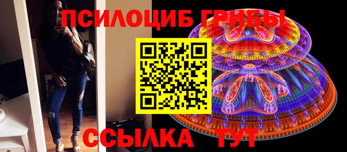 Галлюциногенные грибы прущие грибы Сатка